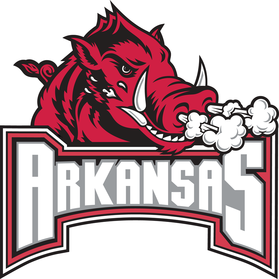 Arkansas Razorbacks 2001-2008 Secondary Logo diy fabric transfer